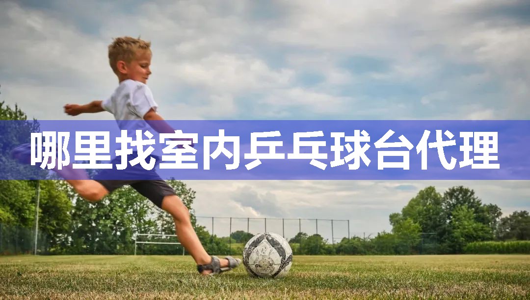 哪里找室内乒乓球台代理