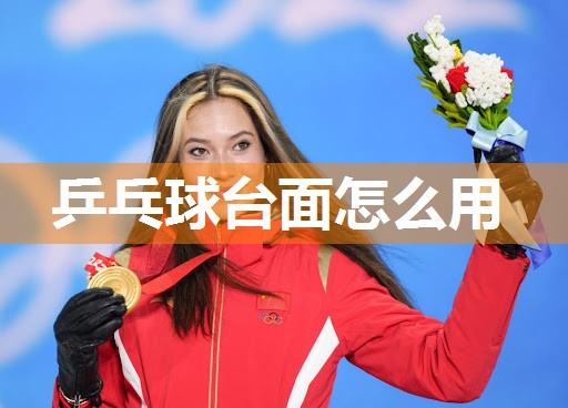 乒乓球台面怎么用