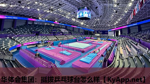 华体会集团：挺拔乒乓球台怎么样