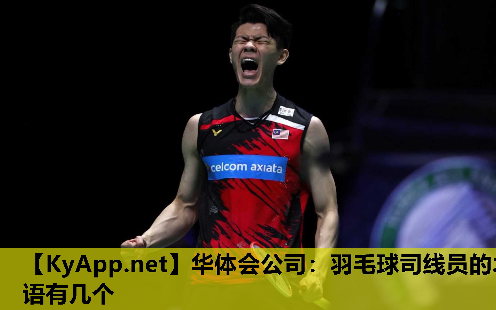 华体会公司：羽毛球司线员的术语有几个