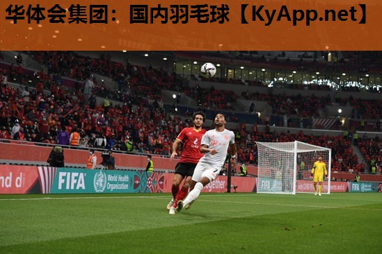 华体会集团：国内羽毛球