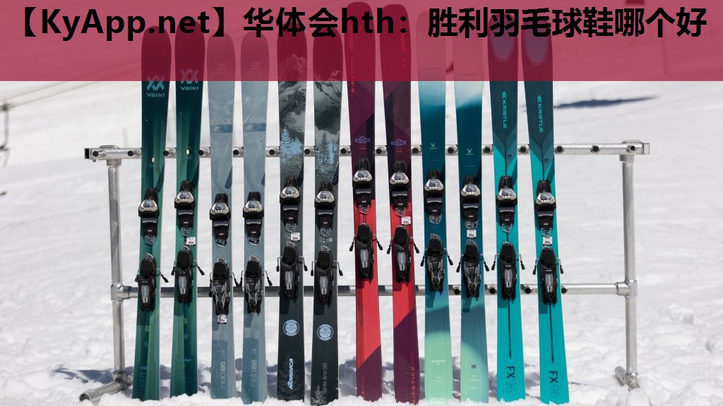 华体会hth：胜利羽毛球鞋哪个好