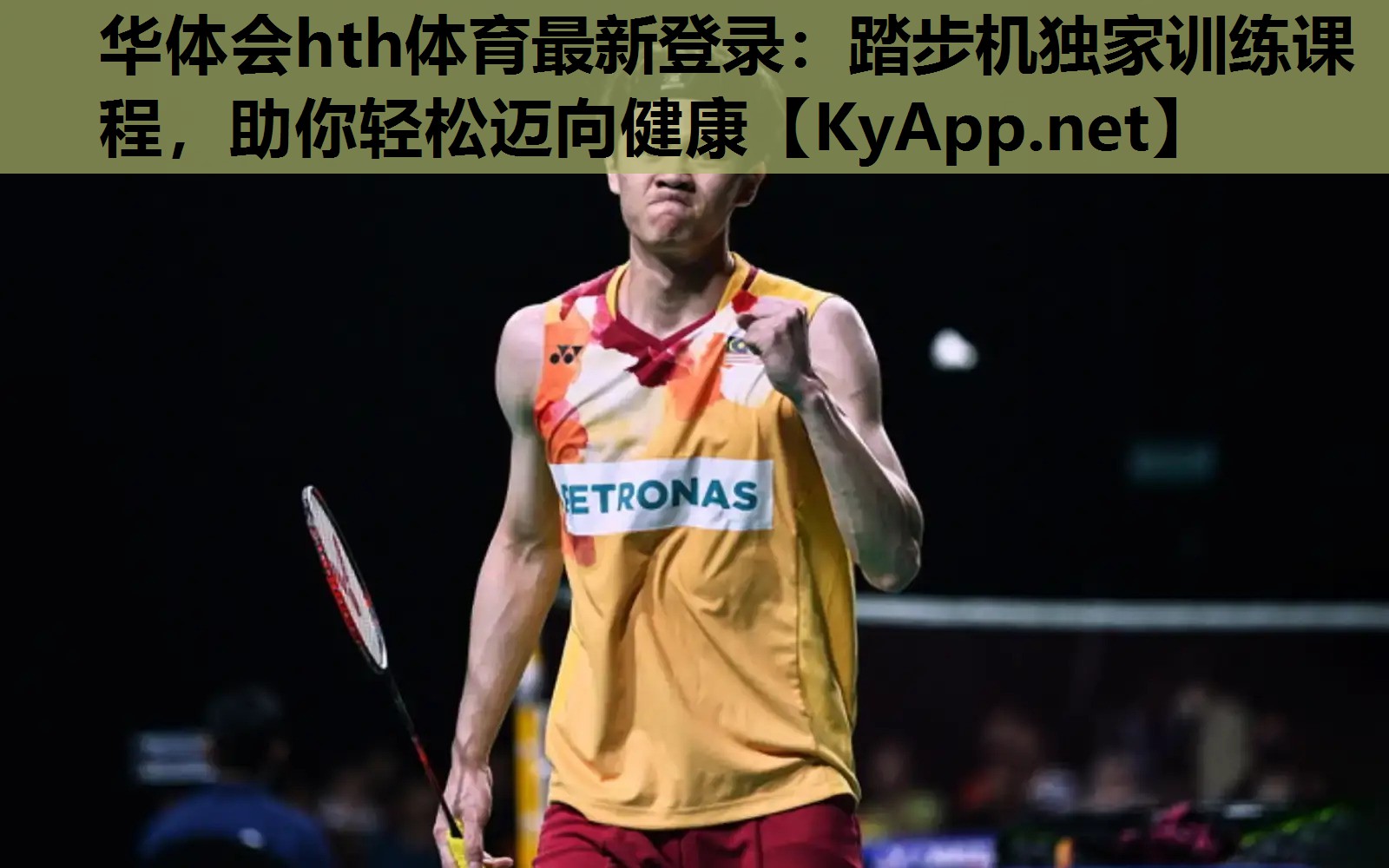 华体会hth体育最新登录：踏步机独家训练课程，助你轻松迈向健康