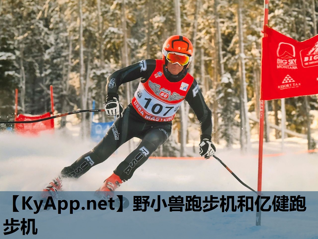 野小兽跑步机和亿健跑步机