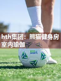 熊猫健身房室内瑜伽