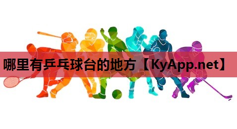 哪里有乒乓球台的地方 哪里有乒乓球台的地方