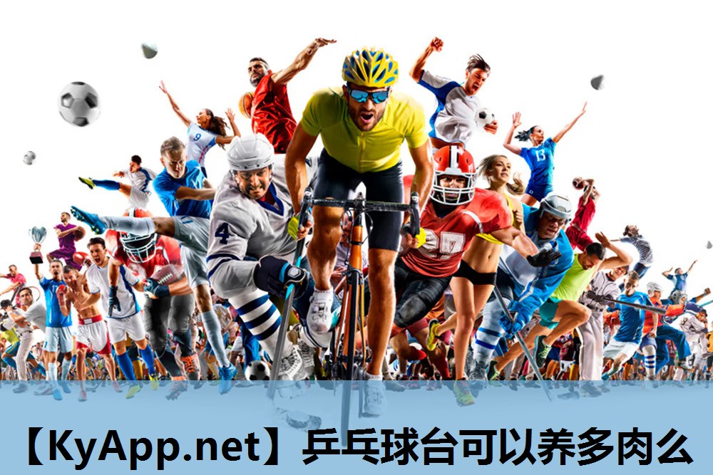 乒乓球台可以养多肉么 乒乓球台可以养多肉么