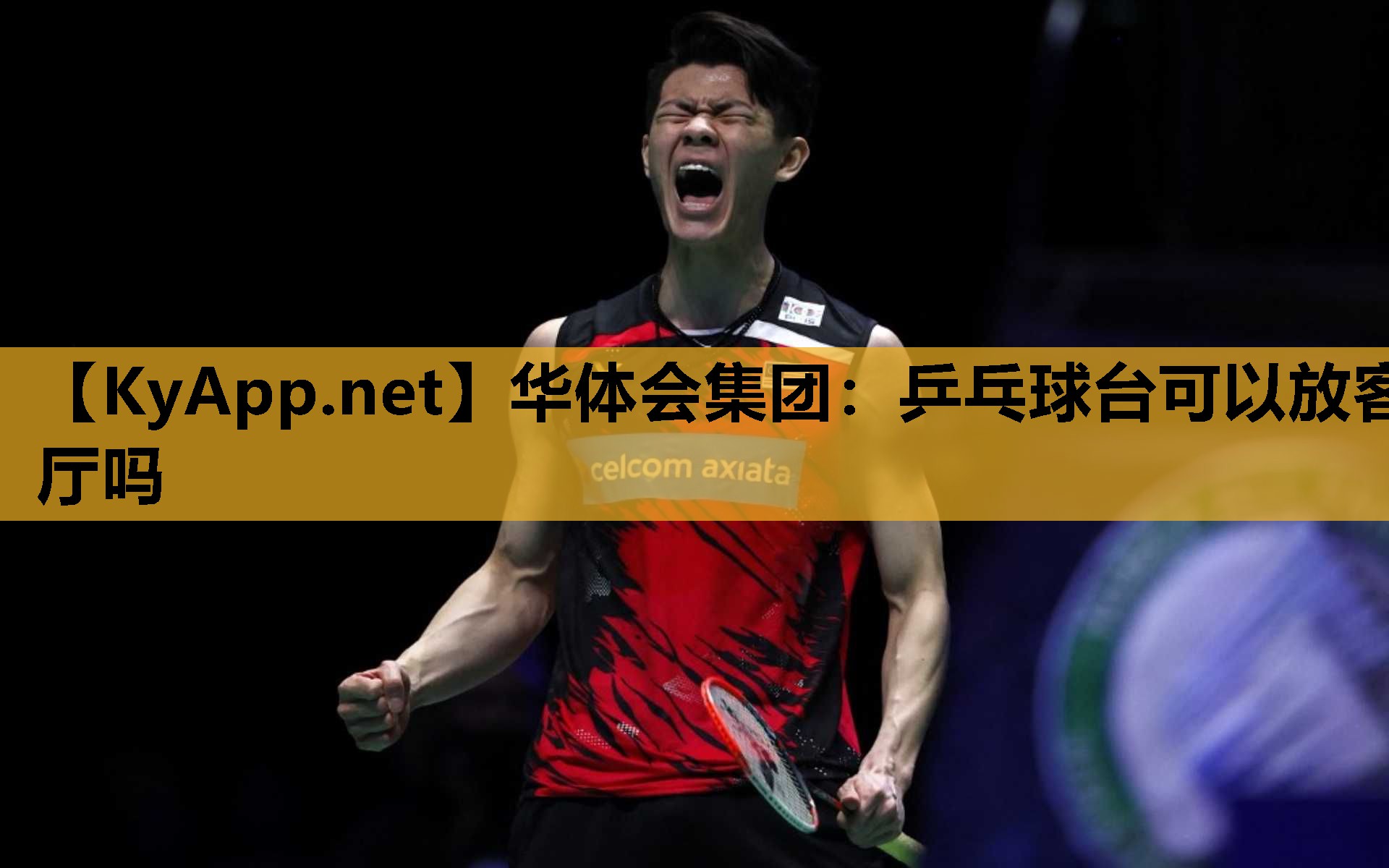 乒乓球台可以放客厅吗 乒乓球台可以放客厅吗