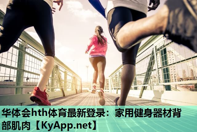 家用健身器材背部肌肉 家用健身器材背部肌肉