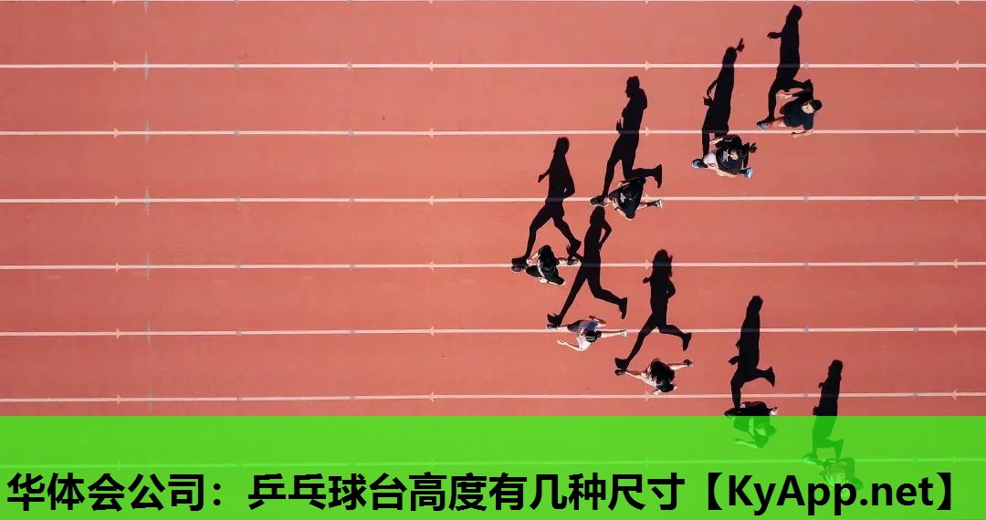 乒乓球台高度有几种尺寸 乒乓球台高度有几种尺寸