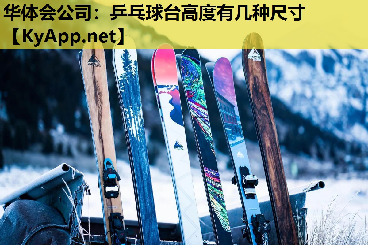 乒乓球台高度有几种尺寸 乒乓球台高度有几种尺寸