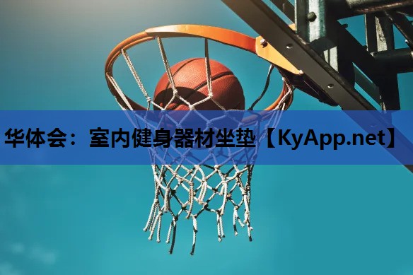 室内健身器材坐垫 室内健身器材坐垫