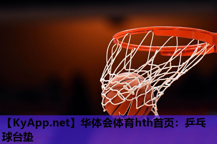 乒乓球台垫 乒乓球台垫