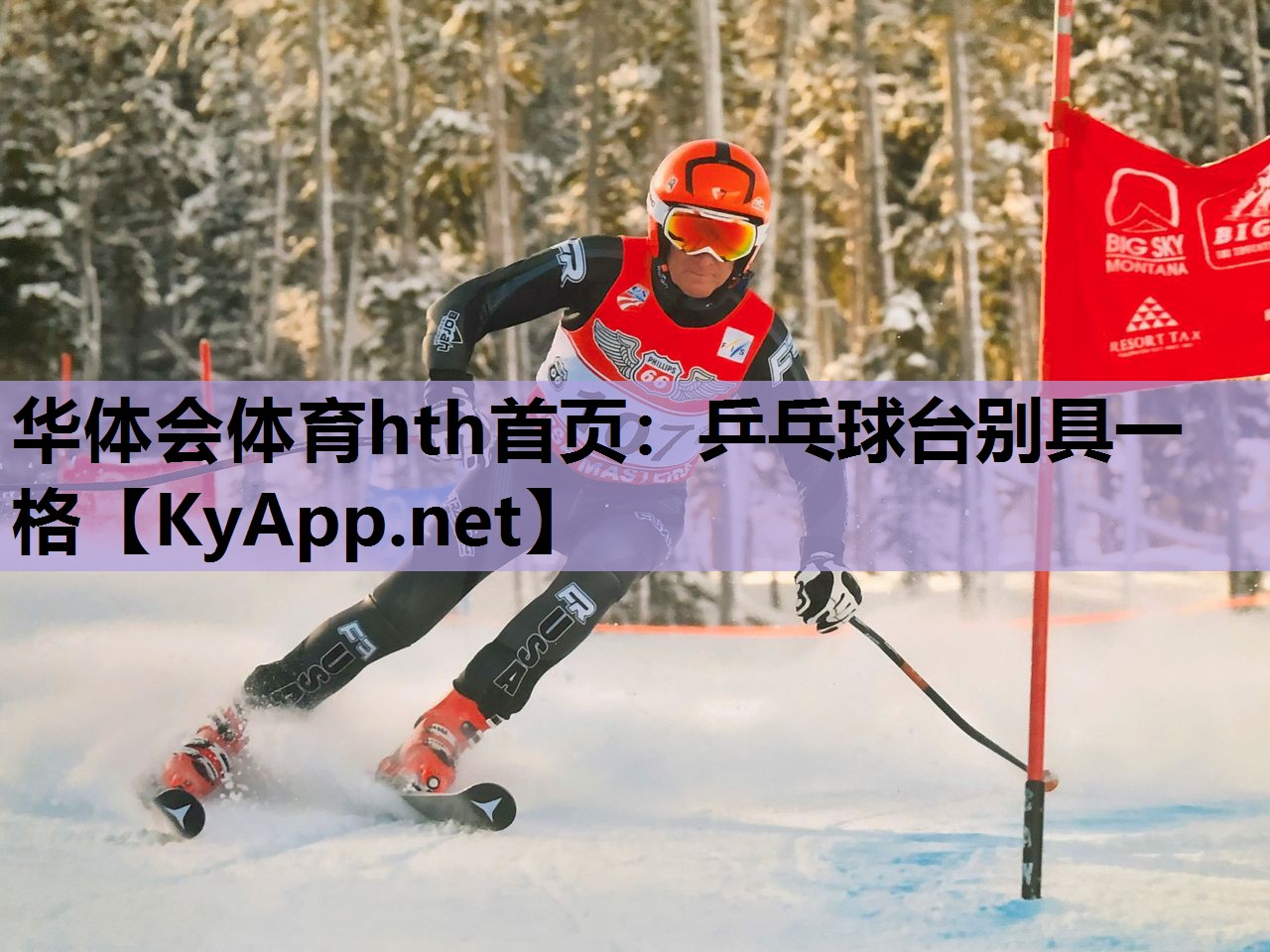 乒乓球台别具一格 乒乓球台别具一格