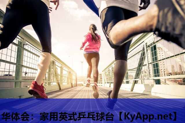 家用英式乒乓球台 家用英式乒乓球台