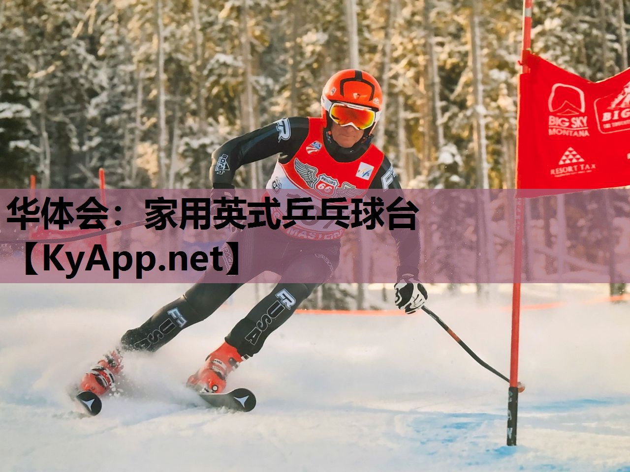 家用英式乒乓球台 家用英式乒乓球台