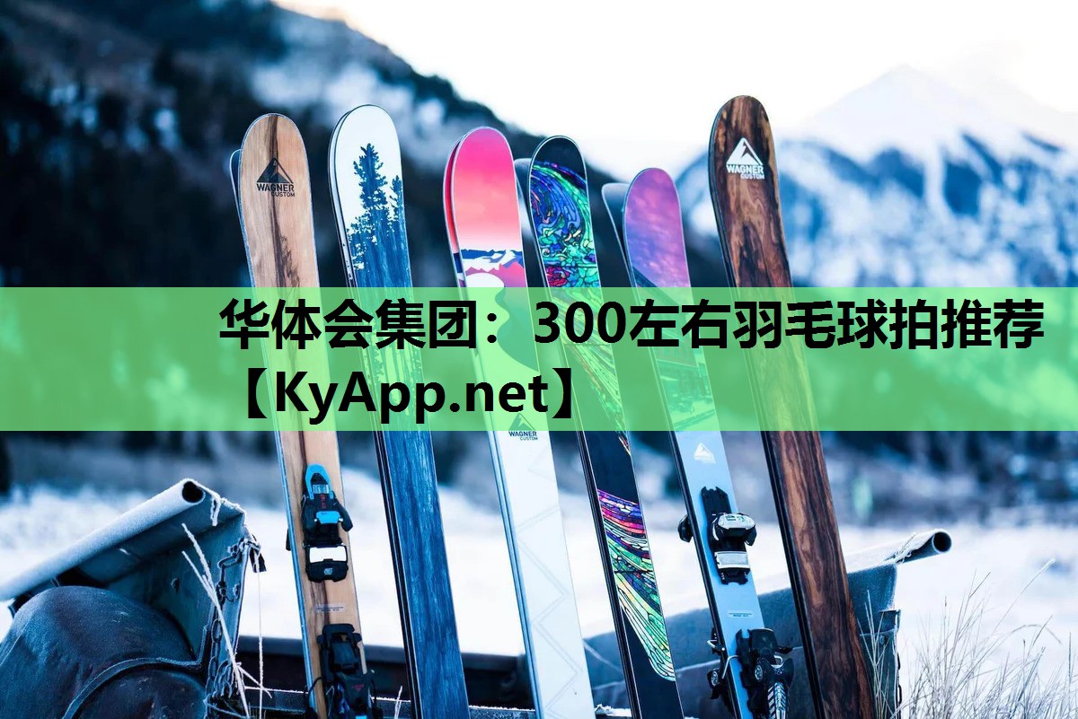 300左右羽毛球拍推荐 300左右羽毛球拍推荐