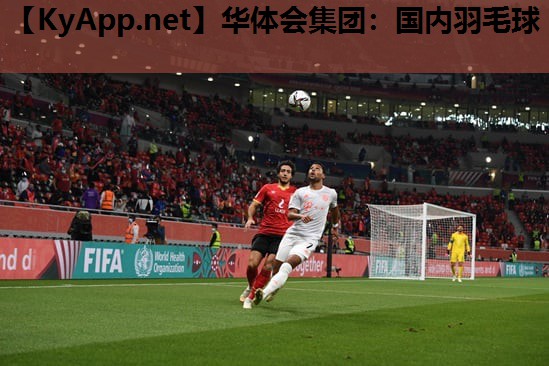 国内羽毛球 国内羽毛球