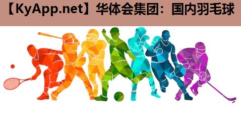 国内羽毛球 国内羽毛球