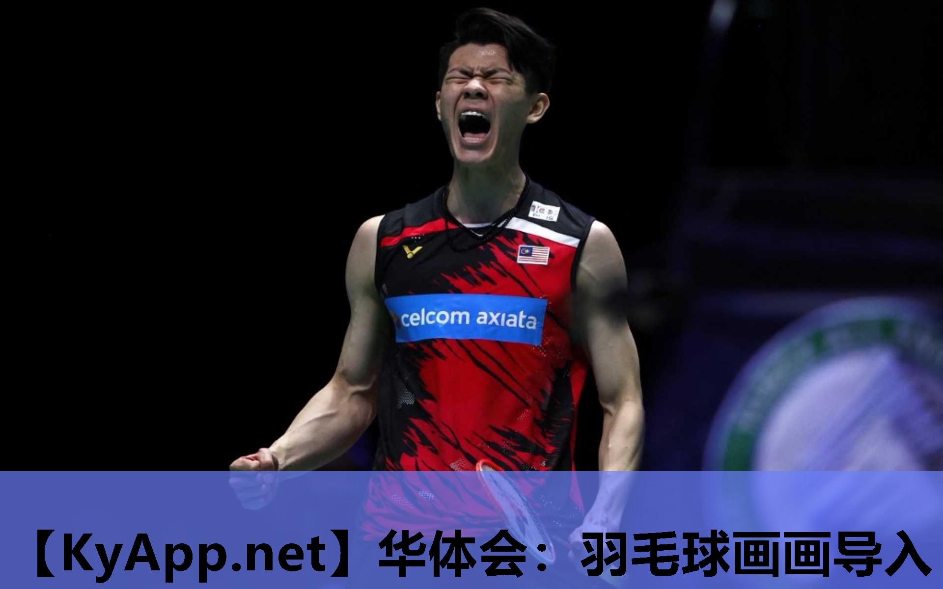 羽毛球画画导入 羽毛球画画导入