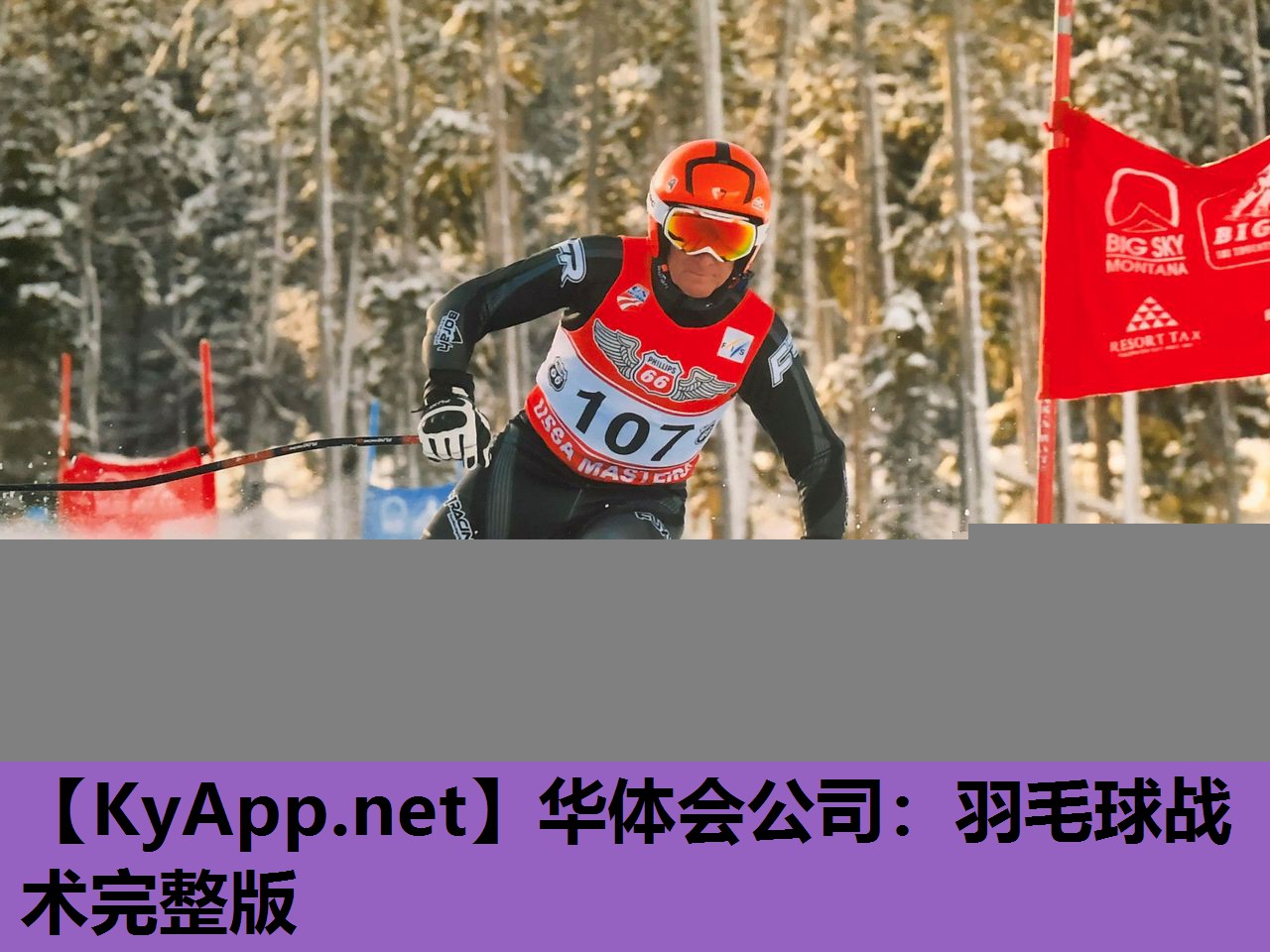 羽毛球战术完整版 羽毛球战术完整版