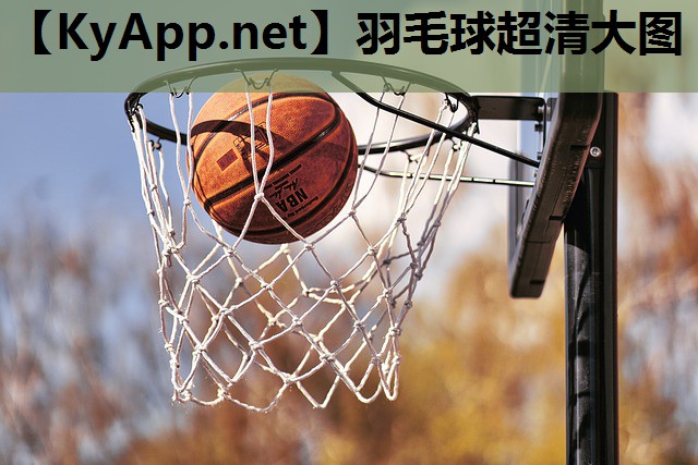羽毛球超清大图 羽毛球超清大图