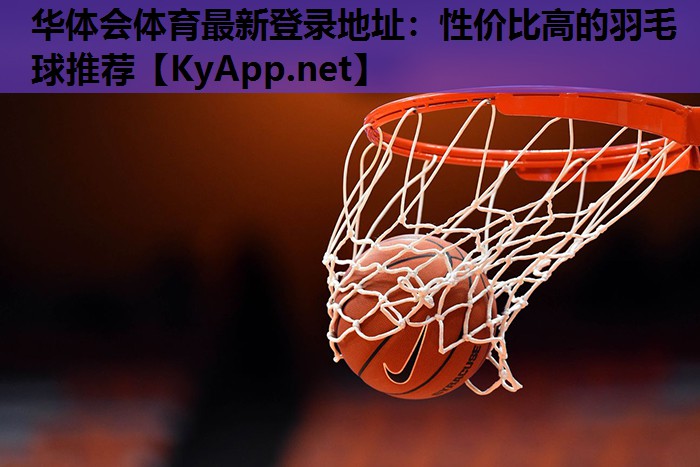 性价比高的羽毛球推荐 性价比高的羽毛球推荐