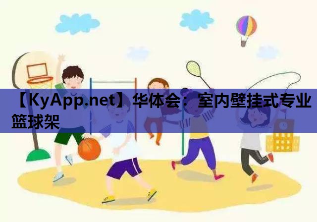 室内壁挂式专业篮球架 室内壁挂式专业篮球架