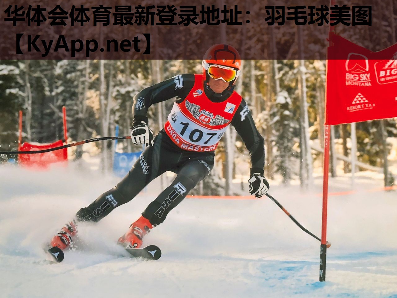 羽毛球美图 羽毛球美图